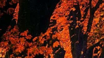 “Isso acontecerá no verão e no inverno” 
